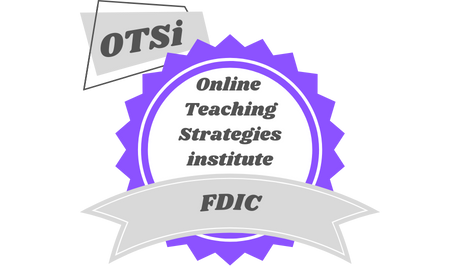 Online Teaching Strategies Institute (OTSi)